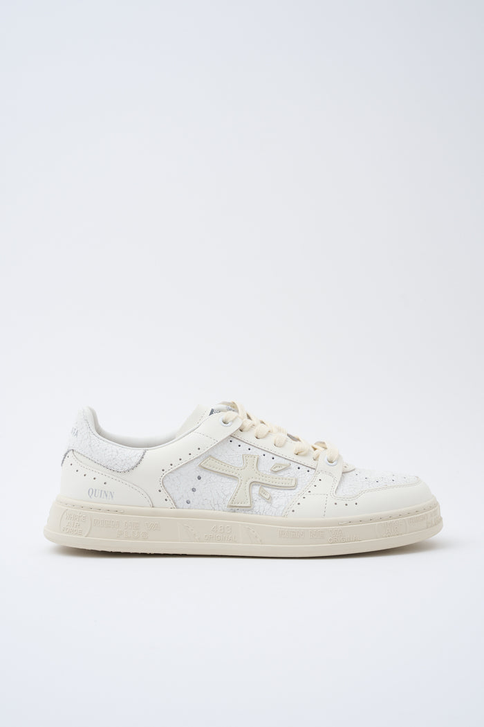 sneaker-quinn-1