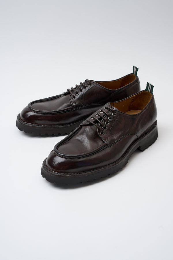 Norvegese Maremma - 5